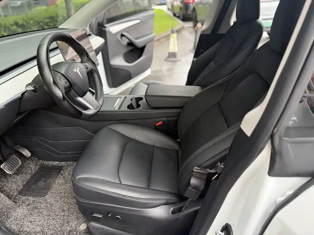 Tesla Model Y — миниатюра 4