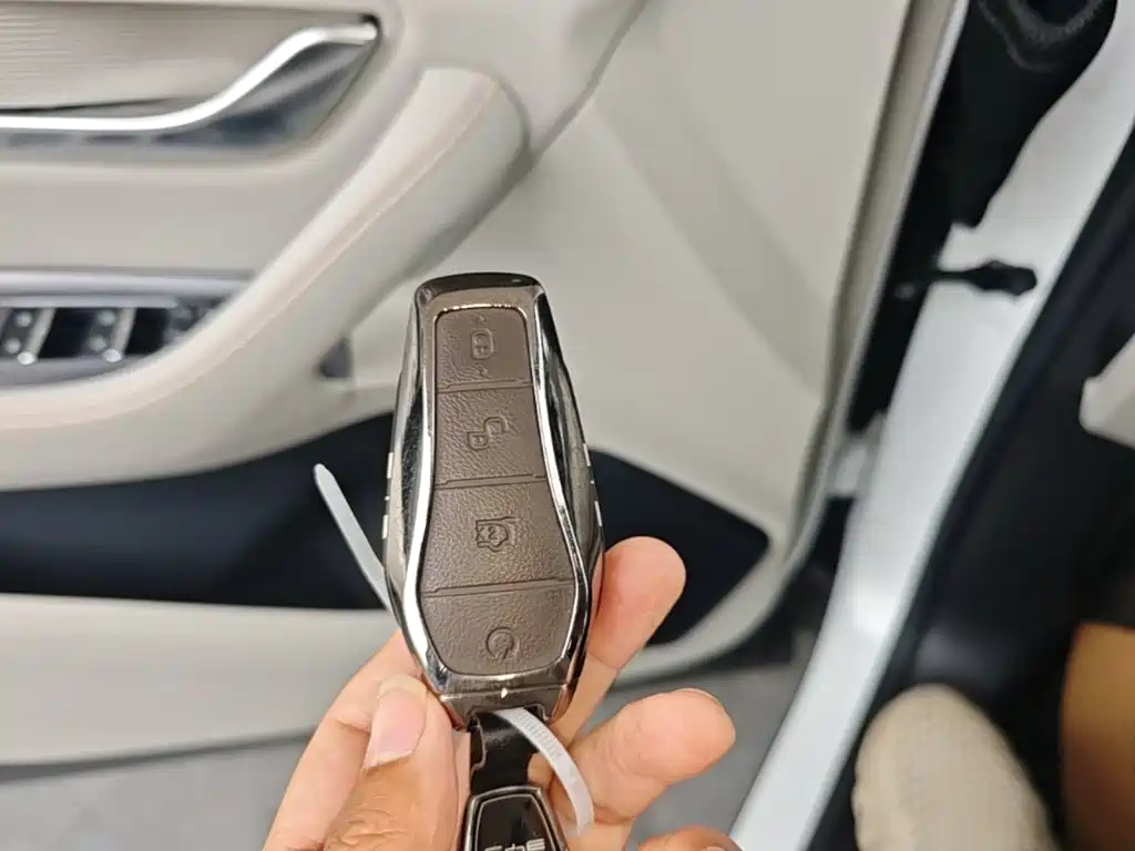 BYD PLUS New Energy — миниатюра 9