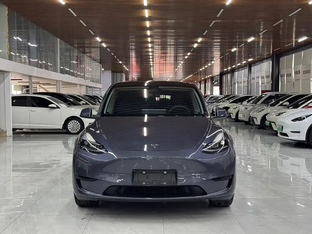 Tesla Model Y — миниатюра 2