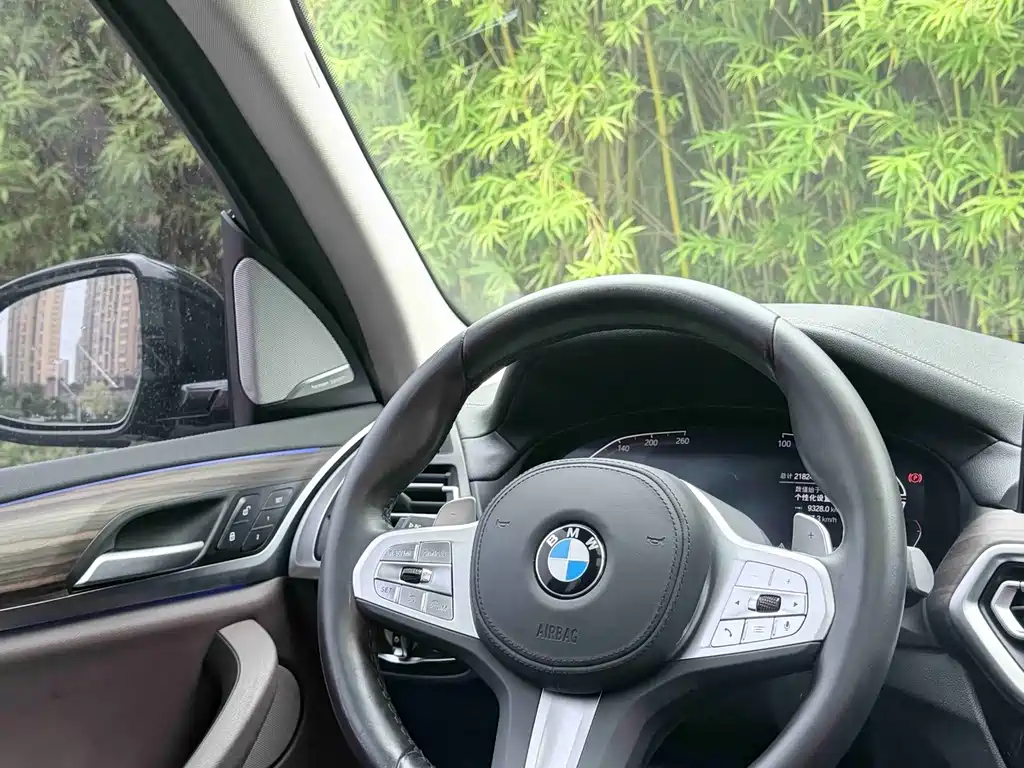 BMW X3 — миниатюра 8