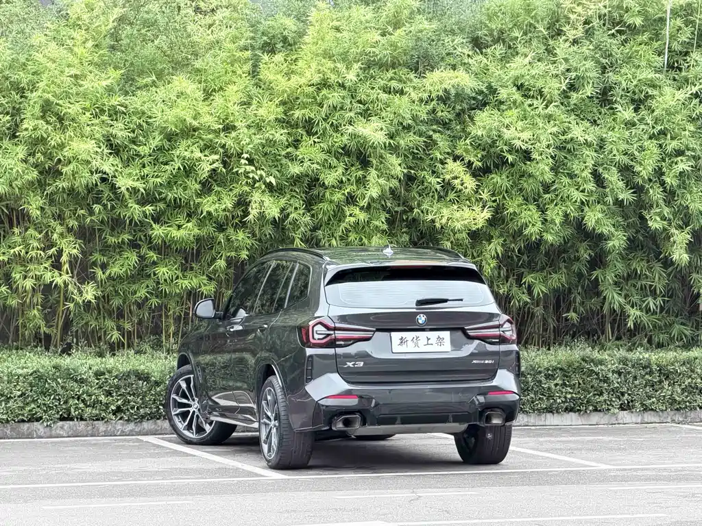 BMW X3 — миниатюра 7