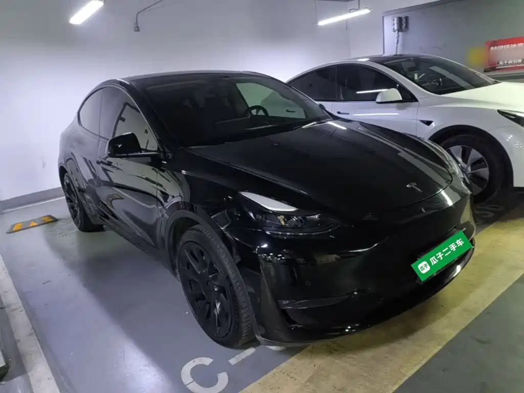 Tesla Model Y — миниатюра 4