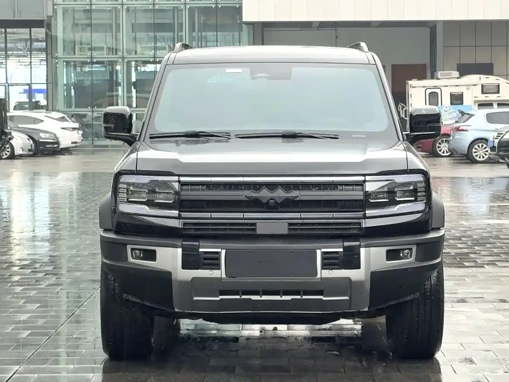 FANG CHENG BAO LEOPARD 5