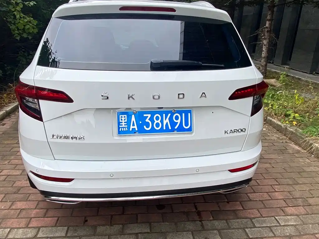Skoda Karoq — миниатюра 5