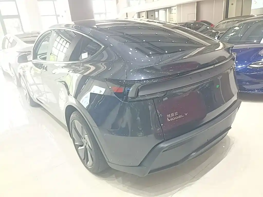 Tesla Model Y — миниатюра 5