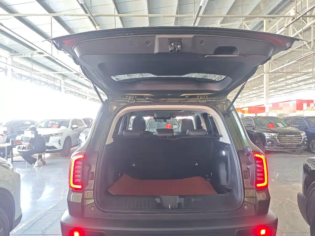 Haval Big Dog — миниатюра 19