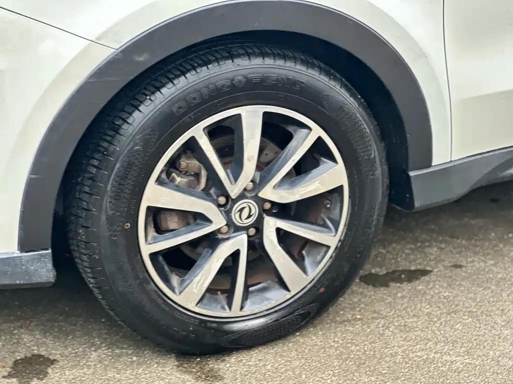 DONGFENG SCENERY 580