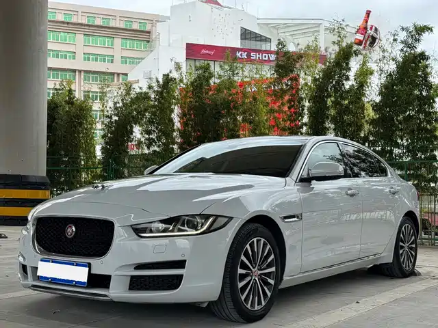 JAGUAR XEL 2019