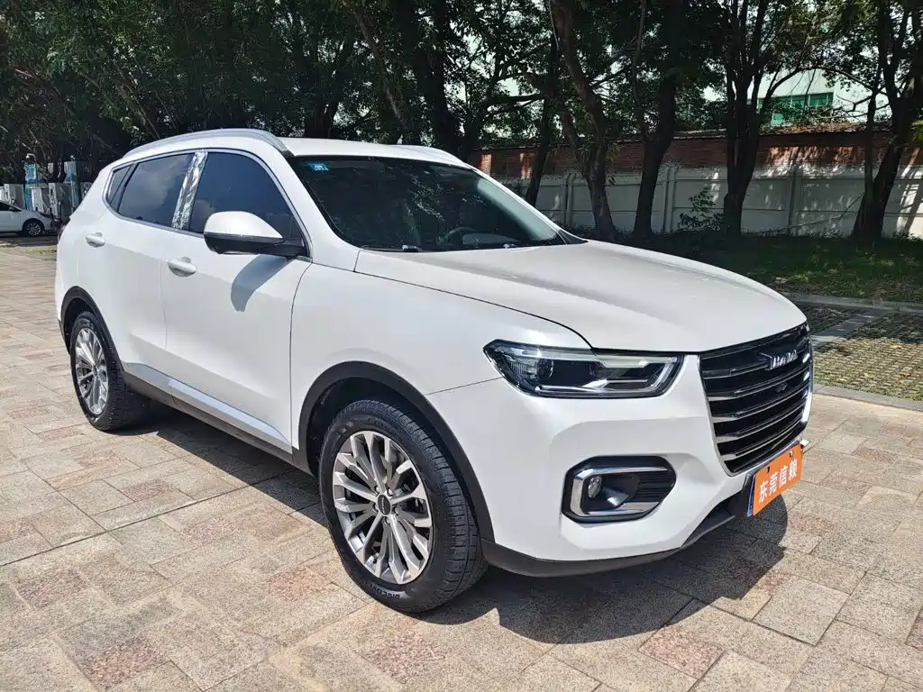 Haval H6 — миниатюра 2