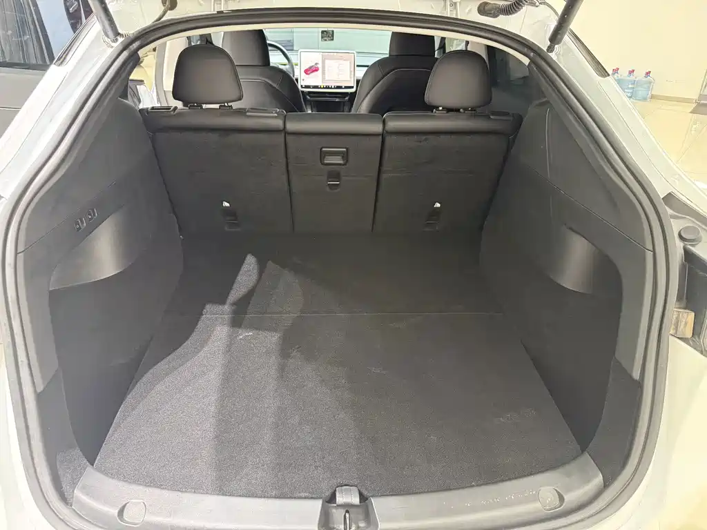 Tesla Model Y — миниатюра 18