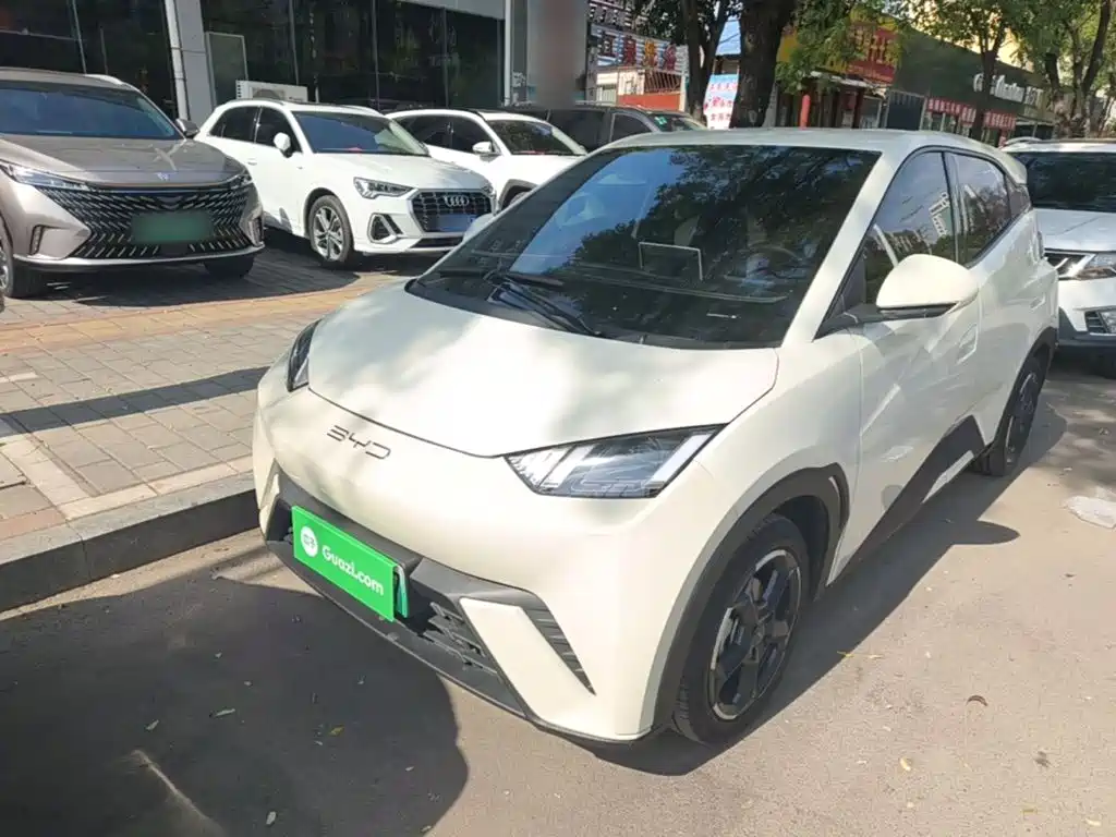 BYD Seagull