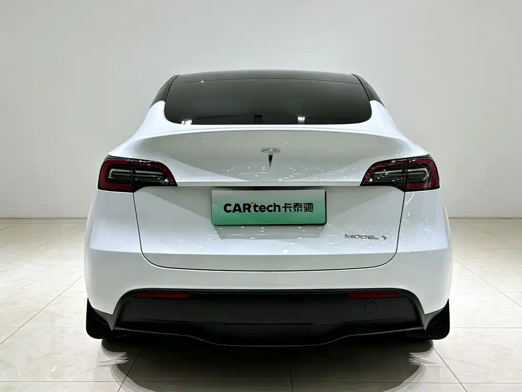 Tesla Model Y — миниатюра 22