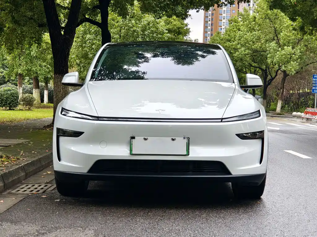 Tesla Model Y — миниатюра 2