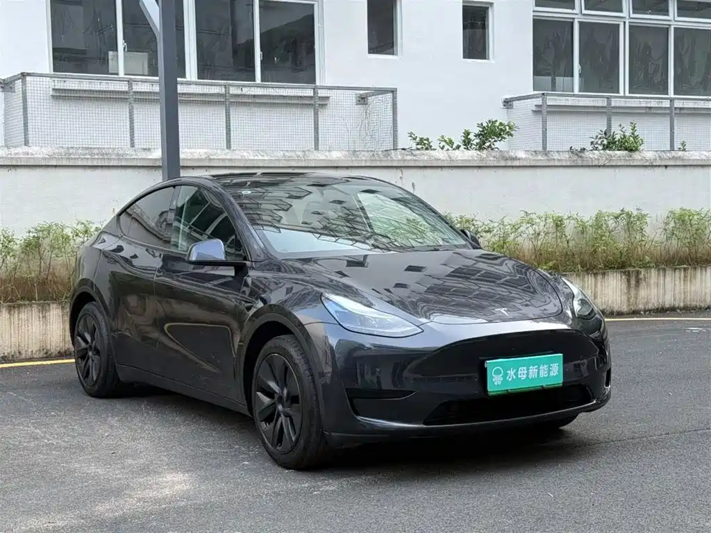 Tesla Model Y — миниатюра 12