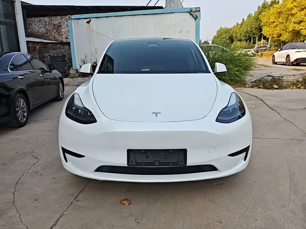 Tesla Model Y — миниатюра 3