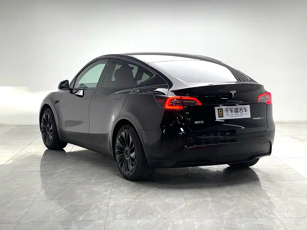 Tesla Model Y — миниатюра 4