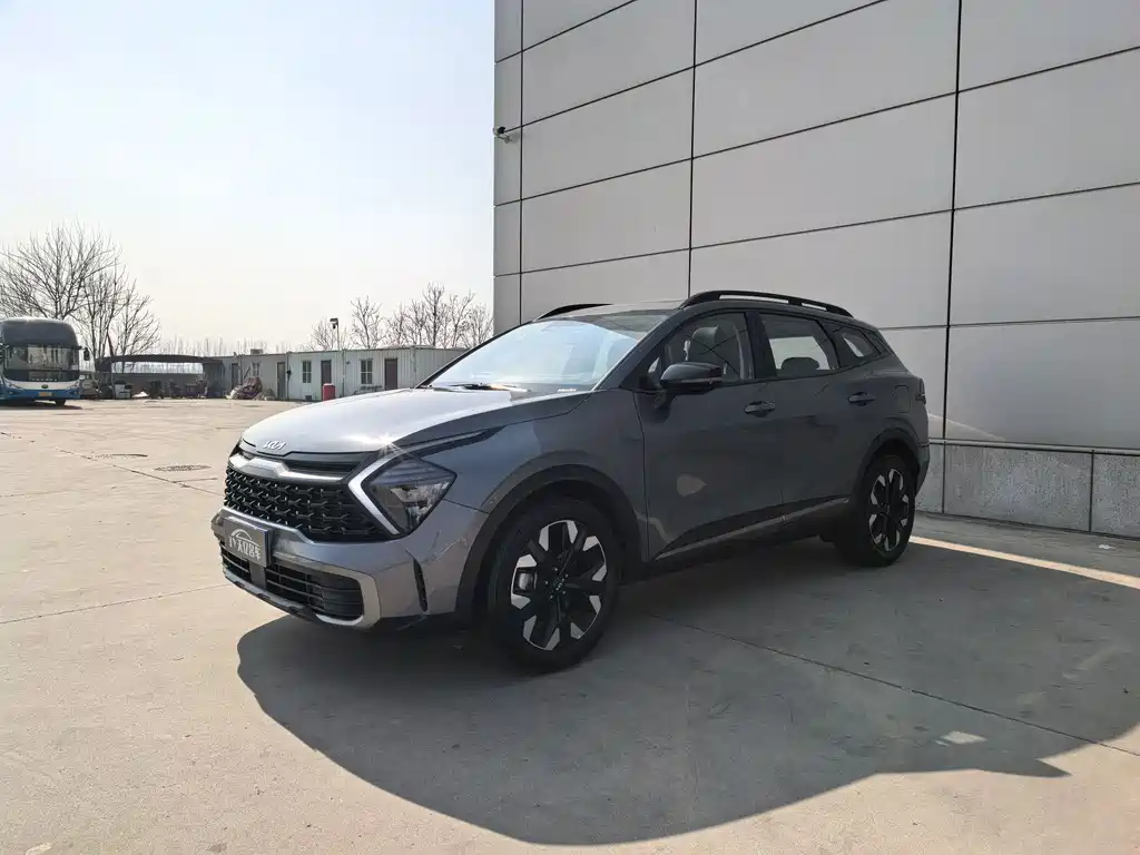 KIA LION PLATINUM EXPANDS THE WORLD