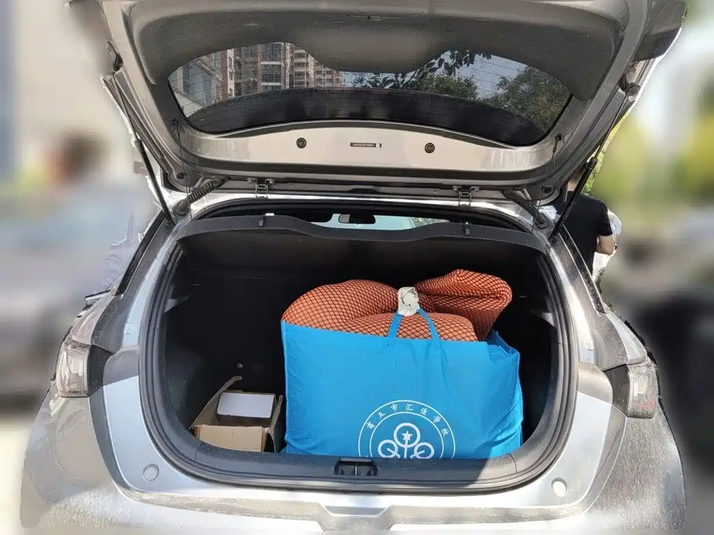 BYD Dolphin — миниатюра 10