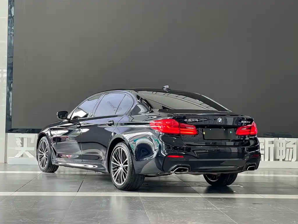 BMW 5 Series — миниатюра 4