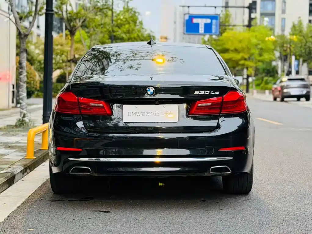 BMW 5 Series New Energy — миниатюра 5