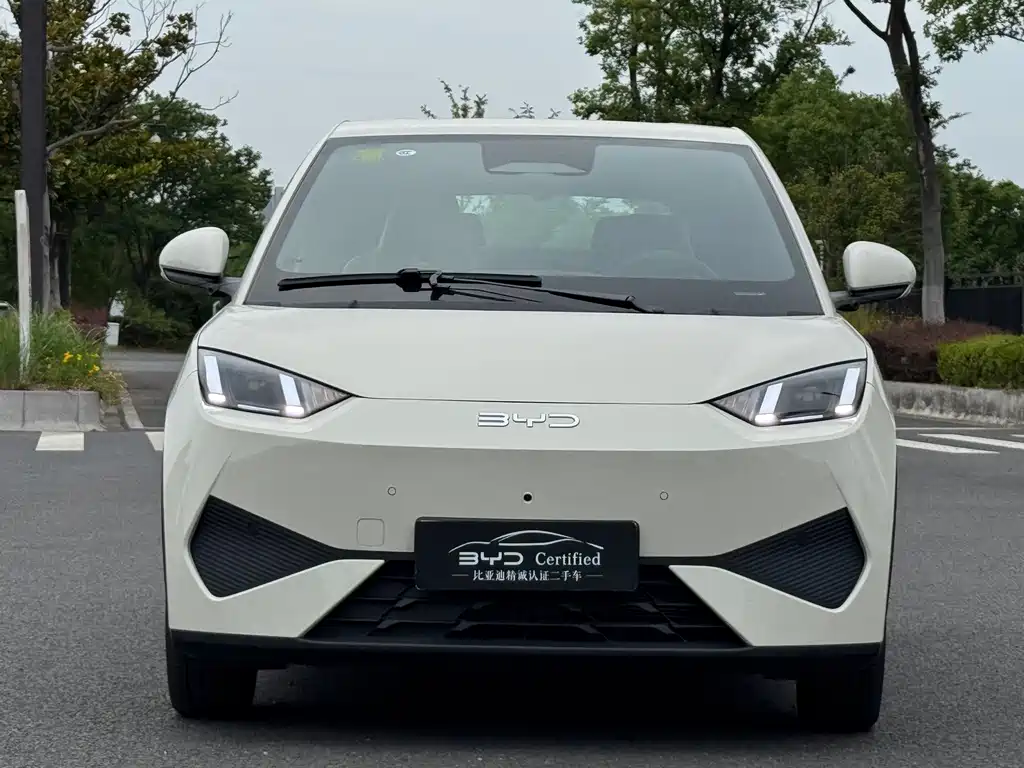 BYD Seagull 2025 Smart Drive 405km Flying