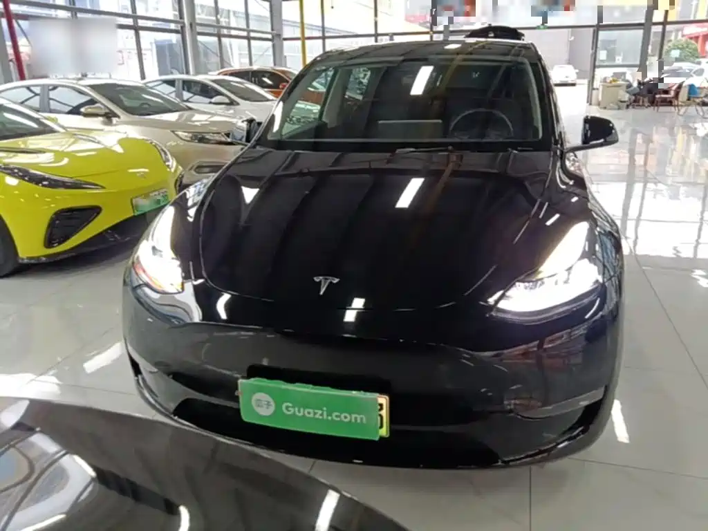 Tesla Model Y — миниатюра 3