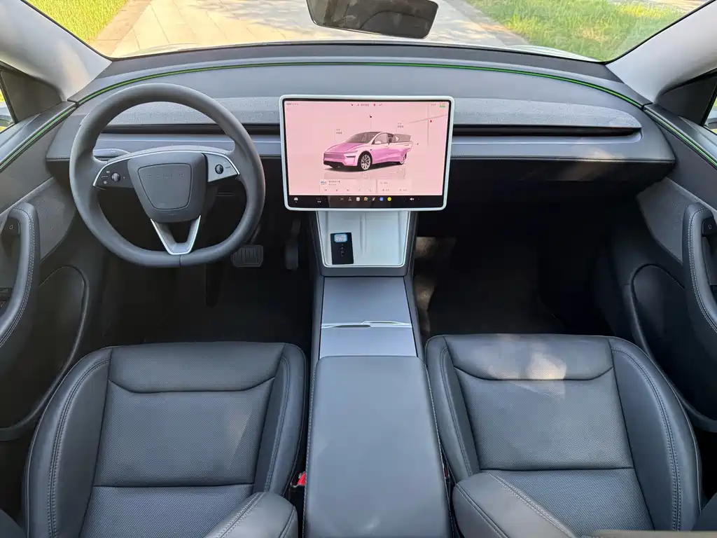 Tesla Model Y — миниатюра 11