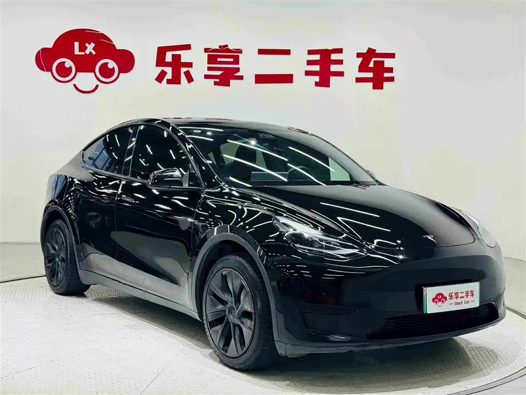 Tesla Model Y — миниатюра 7