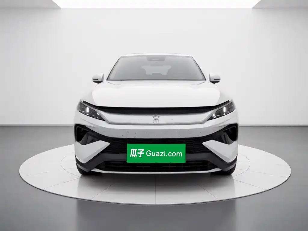 BYD Pro New Energy — миниатюра 24