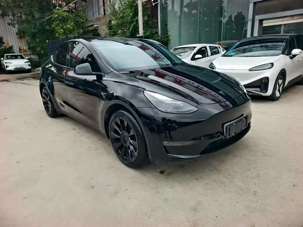Tesla Model Y — миниатюра 2