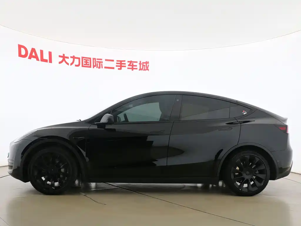 Tesla Model Y — миниатюра 4