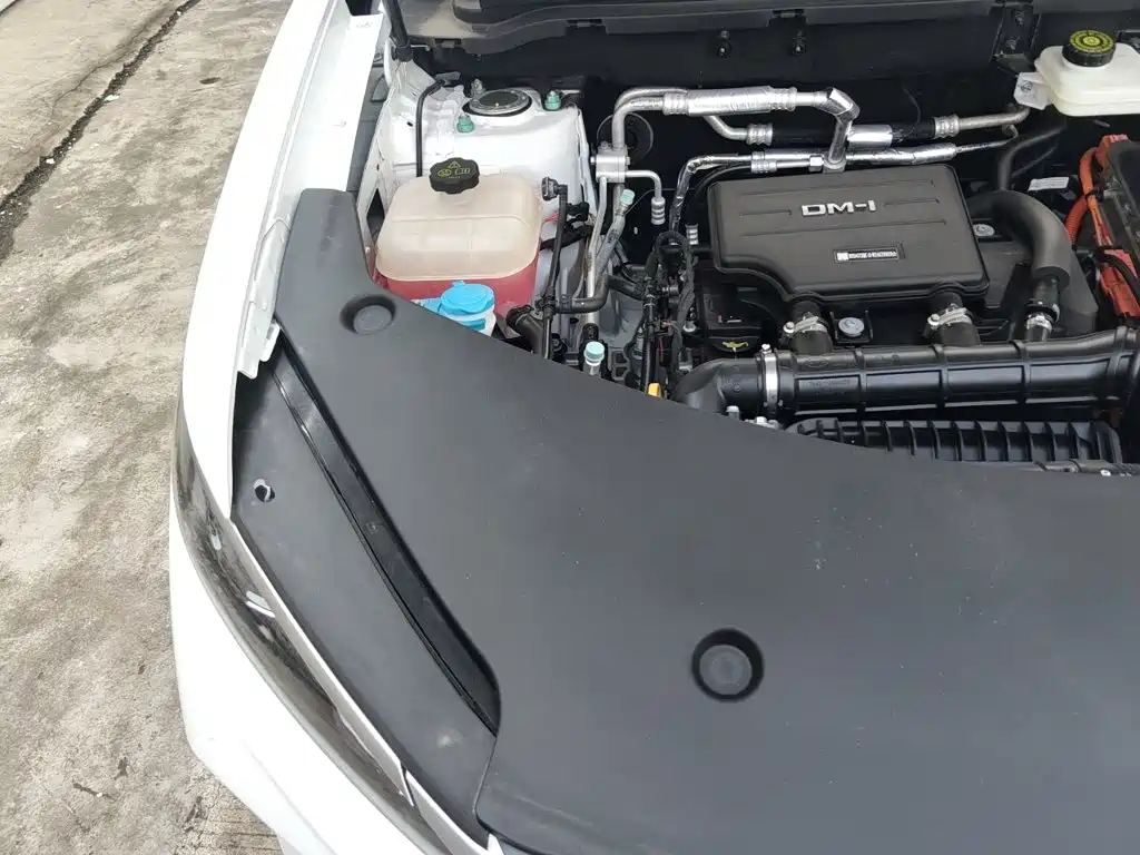 BYD Pro New Energy — миниатюра 20