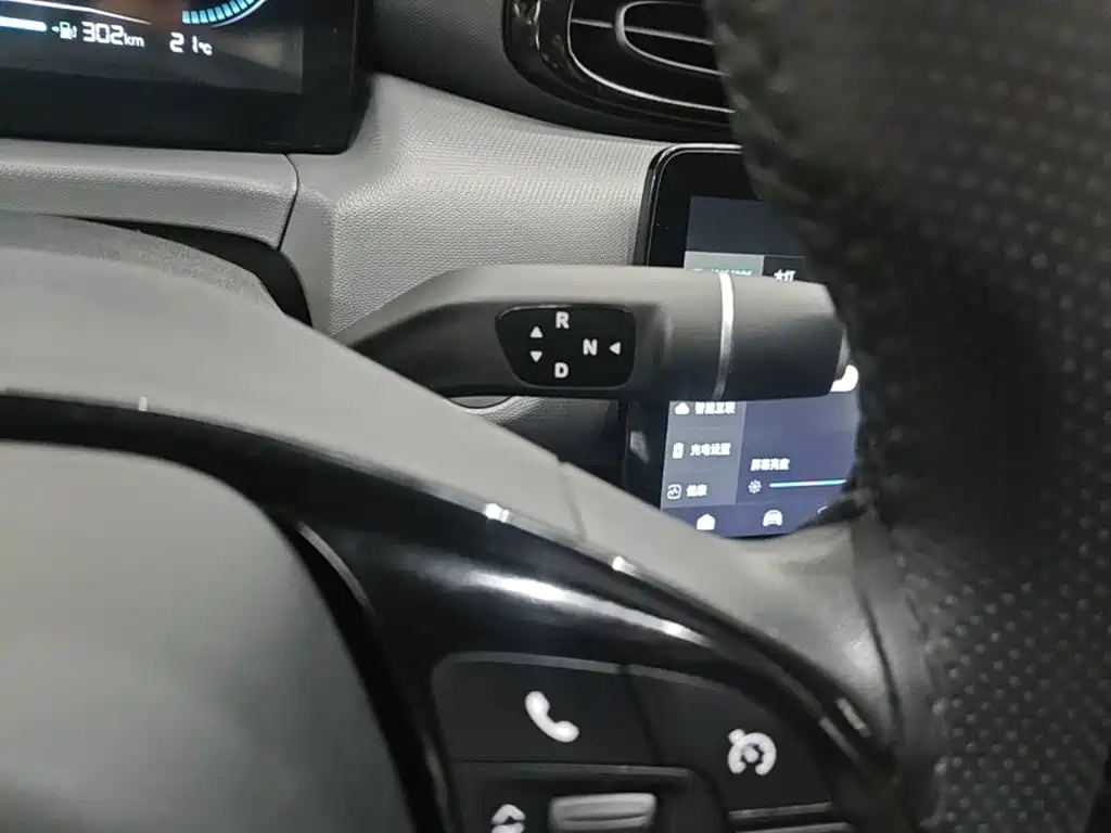 Leapmotor T03 2024 310