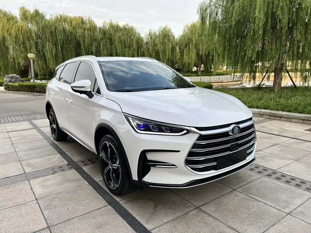 BYD Tang New Energy — миниатюра 2