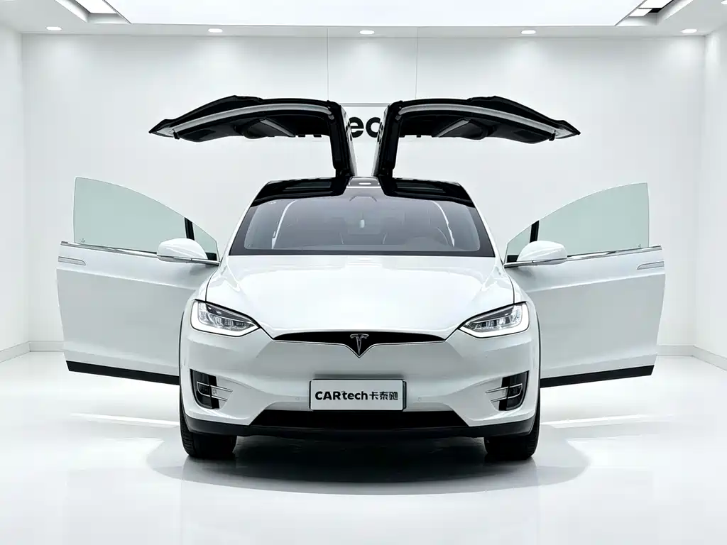 Tesla Model X — миниатюра 9