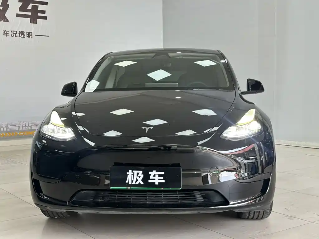 Tesla Model Y — миниатюра 2