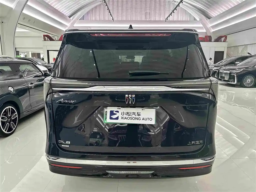 Buick GL8 Hybrid — миниатюра 19