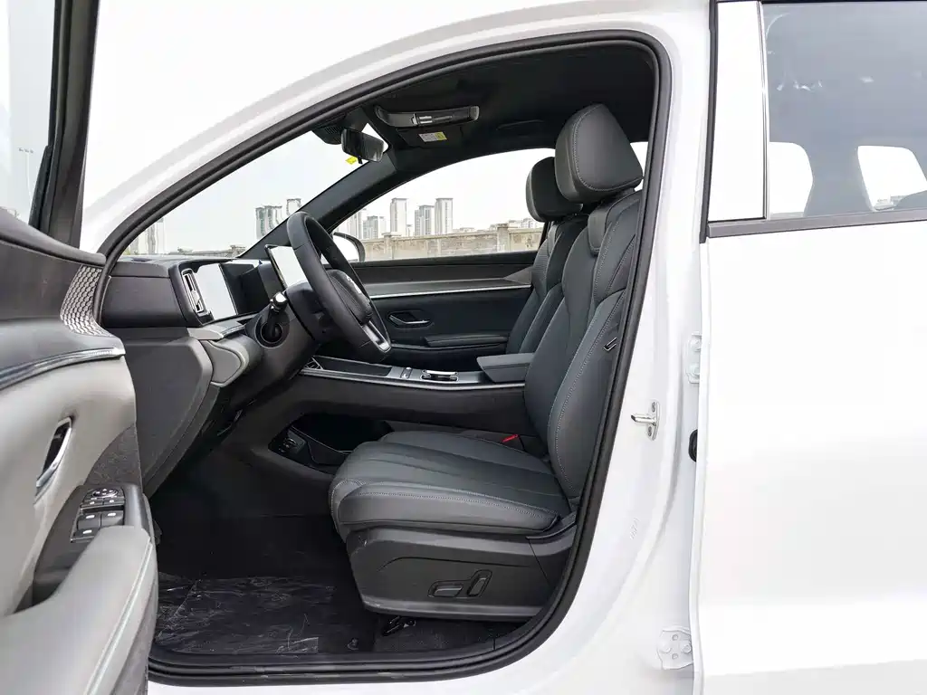 BYD Pro New Energy — миниатюра 3