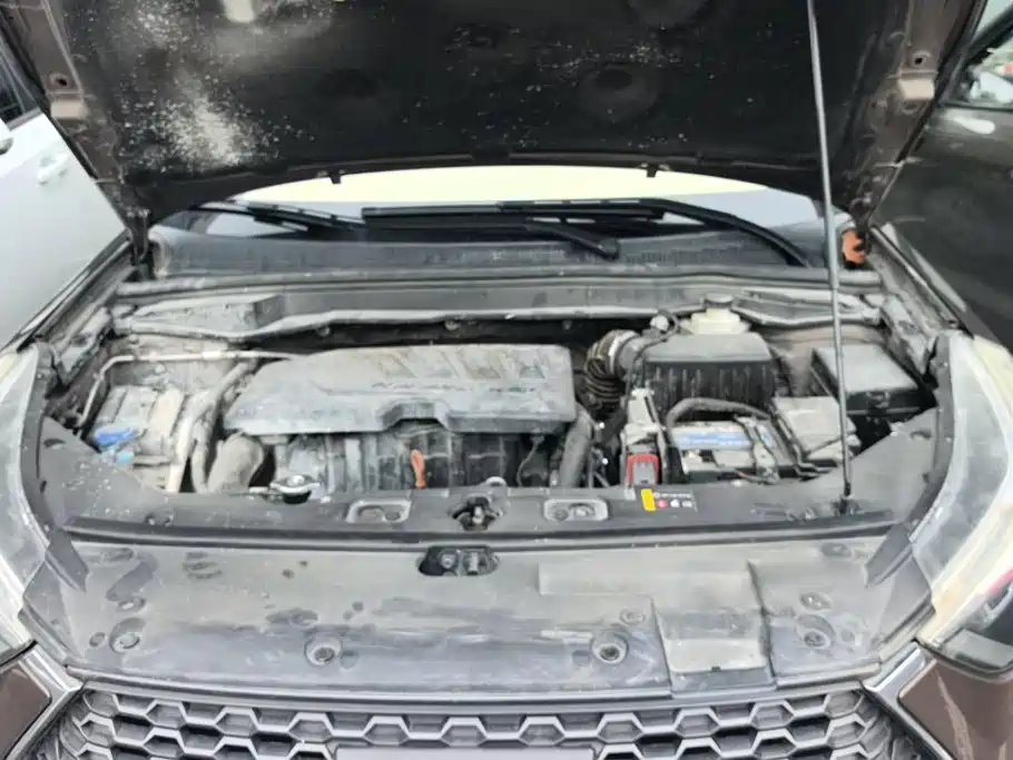 Haval H6 Coupe — миниатюра 10