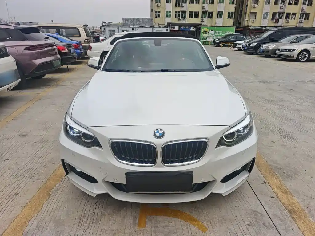 BMW 2 Series 2 2018 225i M Sport