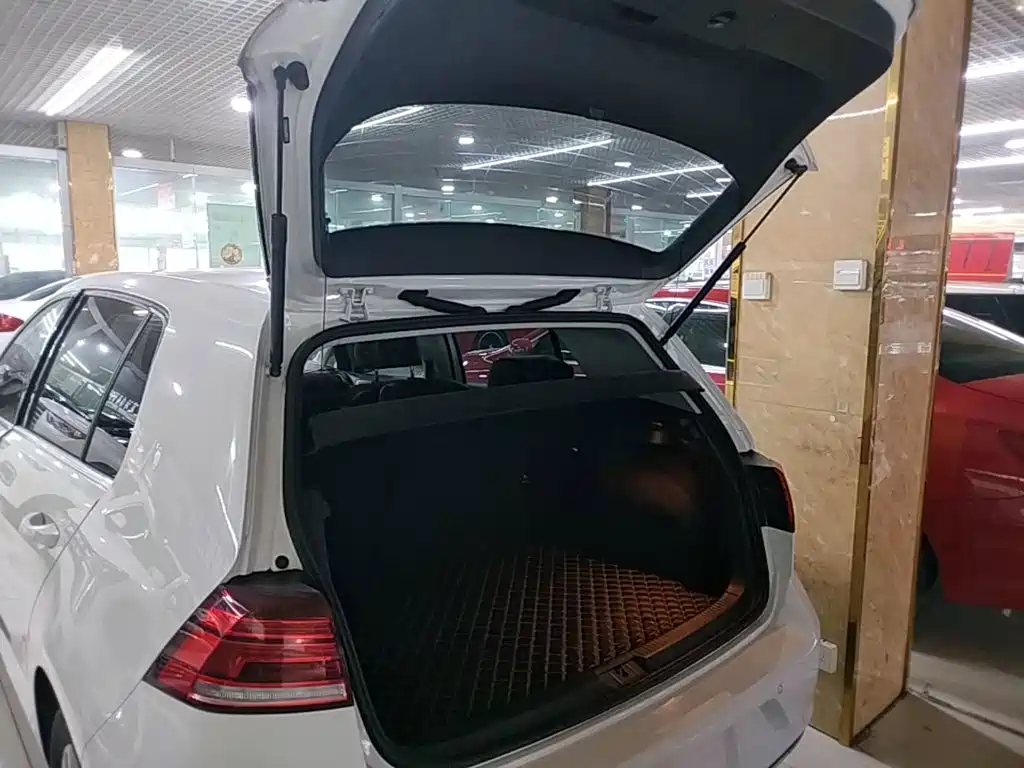 Volkswagen Golf — миниатюра 19
