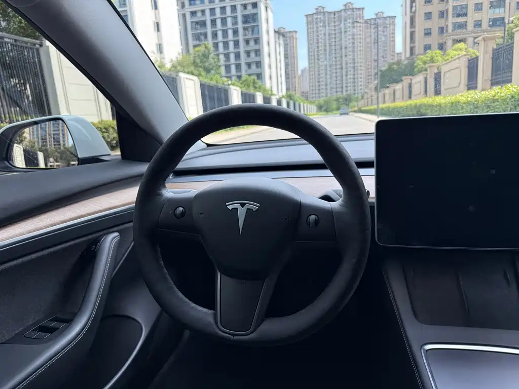 Tesla Model 3 — миниатюра 14