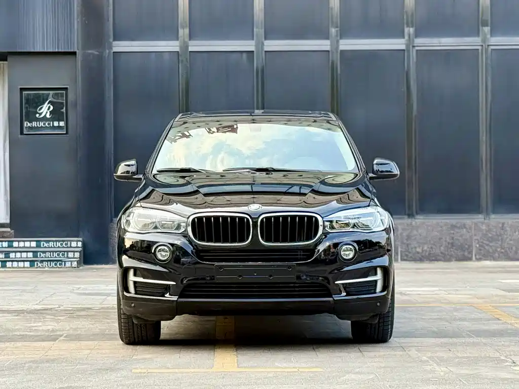 BMW X5 (Import) — миниатюра 2