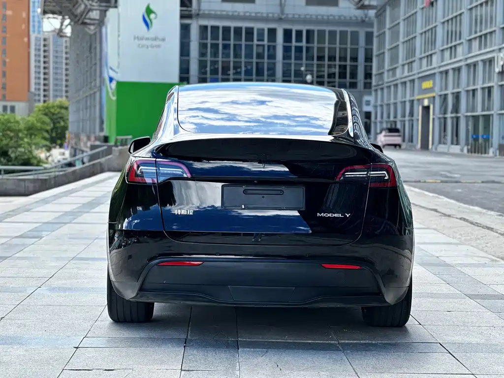Tesla Model Y — миниатюра 5