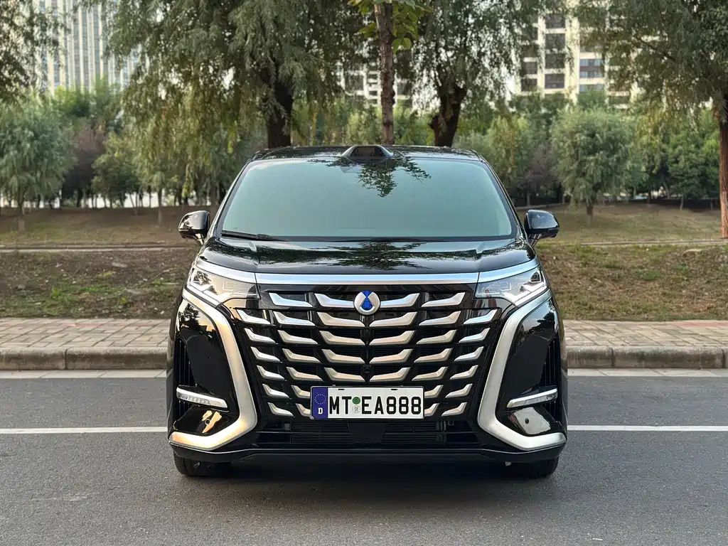 Denza Denza D9 — миниатюра 2