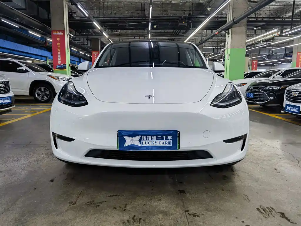 Tesla Model Y — миниатюра 2