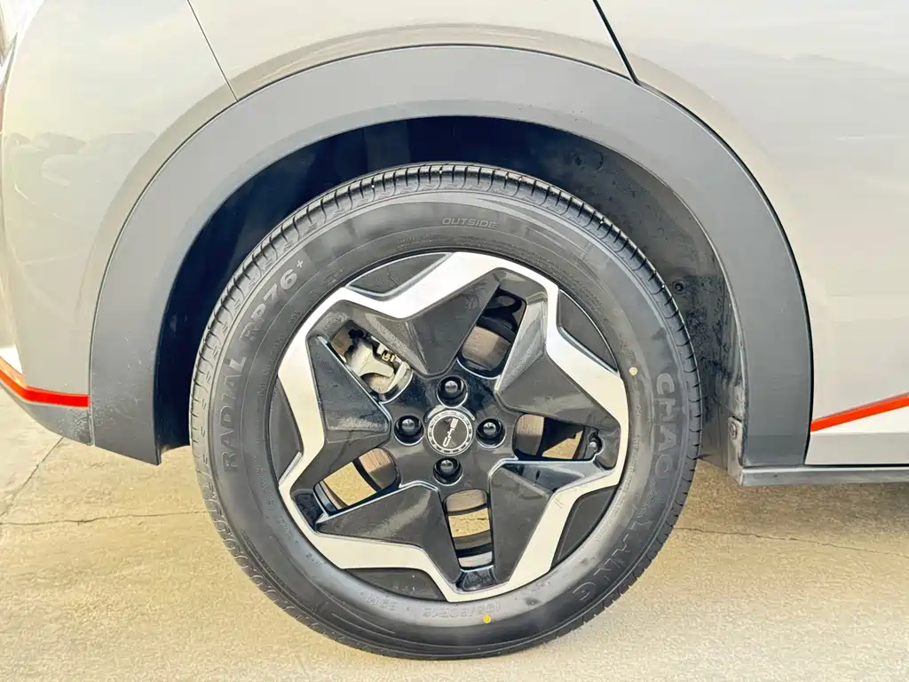 BYD Dolphin — миниатюра 14