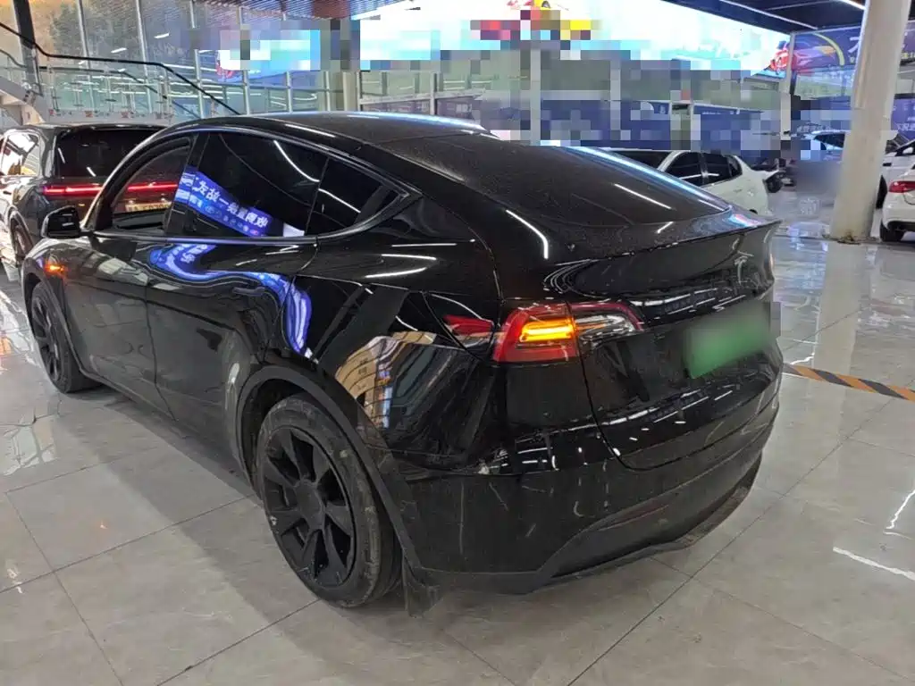 Tesla Model Y — миниатюра 5