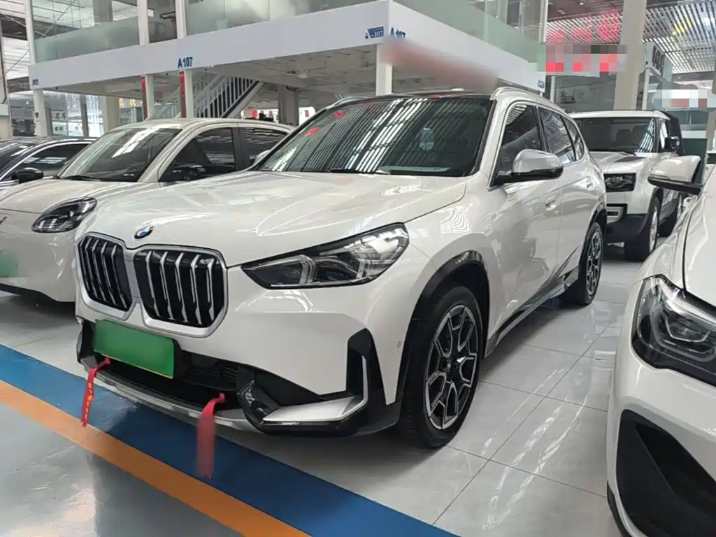 BMW X1 — миниатюра 2