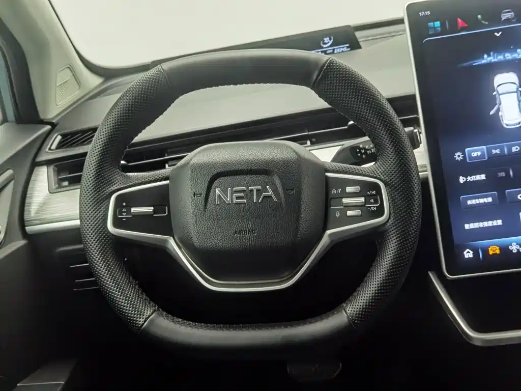 Neta Neta V — миниатюра 11